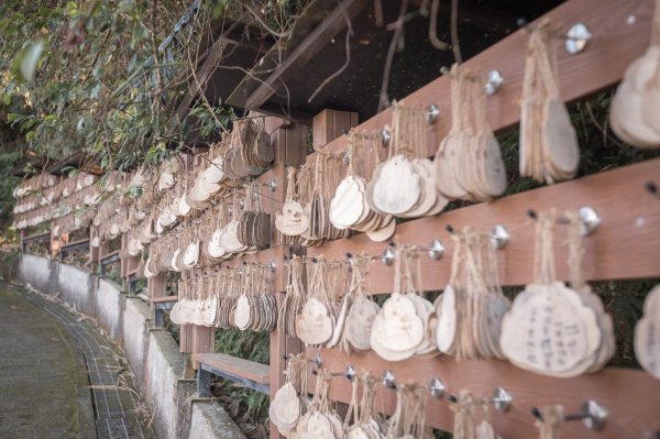 枕頭山古砲台歷史古道O型（含薑母島）2948539