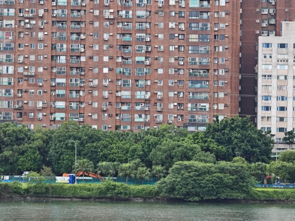 [跟著2025雙北世壯運探索雙北市-1/21] 2025_0607 飛盤競技道（華江雁鴨河濱步道）2807802