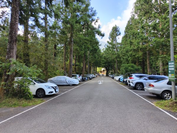 [百山百鳥尋旅-05/15] 2025_0830 溪頭賞鳥步道_賞鳥步道2875022