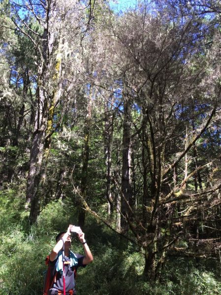 羊頭山單攻175459