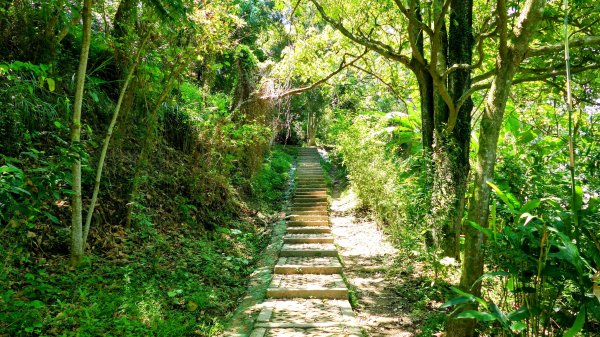 三汀山,苗圃,蝙蝠洞2787363