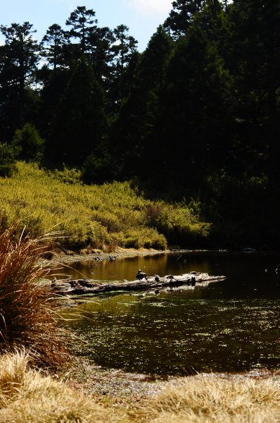 武法奈尾山天巒池872504