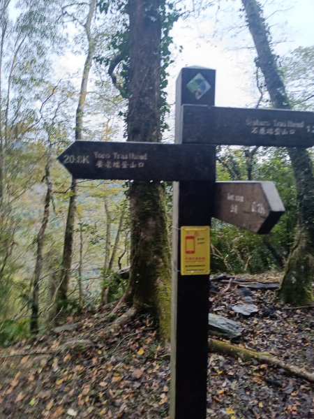 霞喀囉步道(全程)2972328