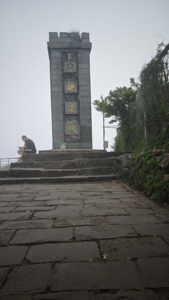 2025-0505 觀音山土路追桐花+牛港稜步道2781386