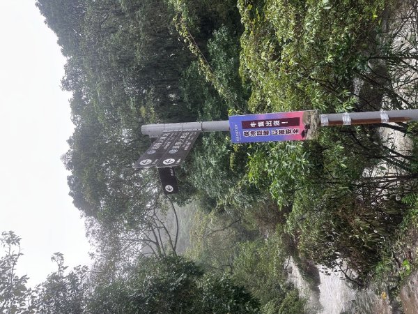 2024草嶺古道芒花季草嶺古道2644793