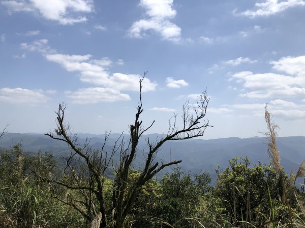 獅公髻尾山連走伏獅山接九芎坑山(玉桂嶺)912589