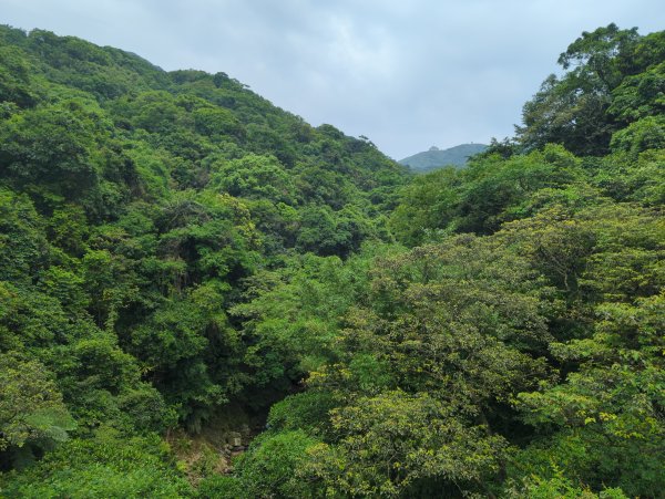 2025.05.03－燦光寮山O行縱走2782439