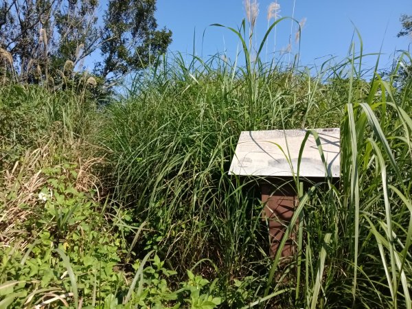 基隆市曾子寮山+大德山+摩天嶺+九華山+龍鳳山+火號山+球子山燈塔+白米甕砲台+白米甕尖+基隆燈塔3006512