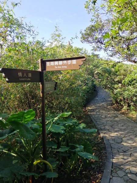 基隆安樂~遠眺蔚藍海岸#3小百岳大武崙山863639