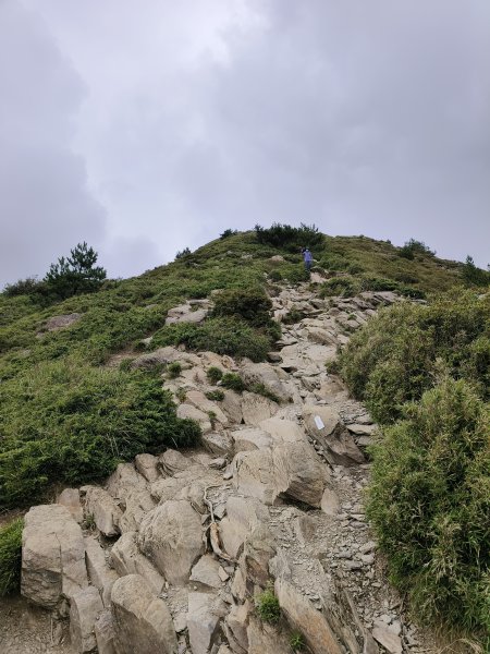 南投/花蓮-合歡北峰3053843