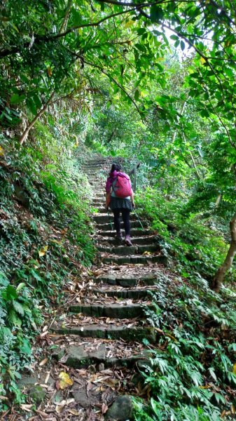 小百岳【崁頭山】915673