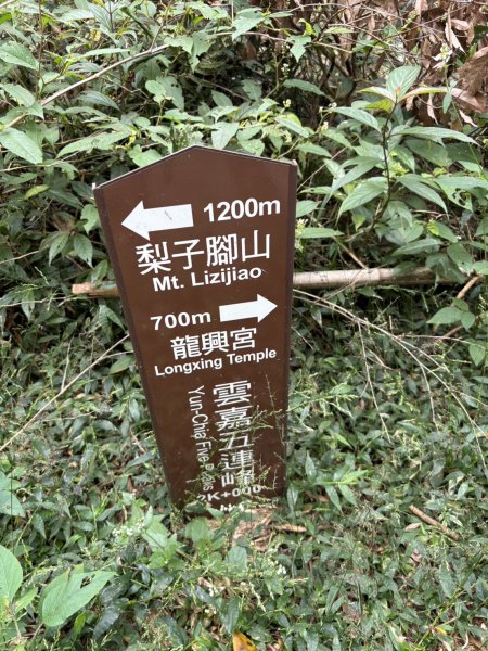 20251024雲嘉五連峰+碧湖山2924304
