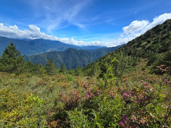 志佳陽大山（回程走高繞環山獵人登山步道）2542151