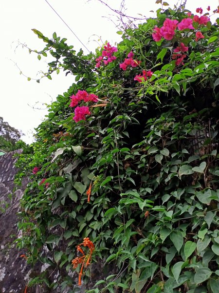 美麗的劍潭、渾然天成的猴洞巨岩和湖山磺溪1320191