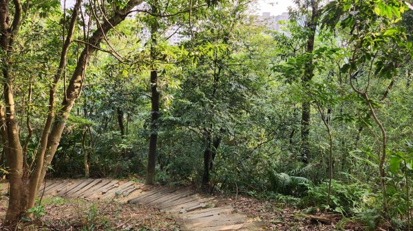 汐止新山夢湖，石獅山，翠谷橋壺穴，內湖大崙尾山，明舉山，康樂山，翠山步道，汐止金龍湖，學頭坡山2210474