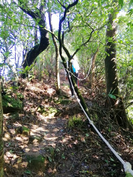 基隆安樂~遠眺蔚藍海岸#3小百岳大武崙山863626