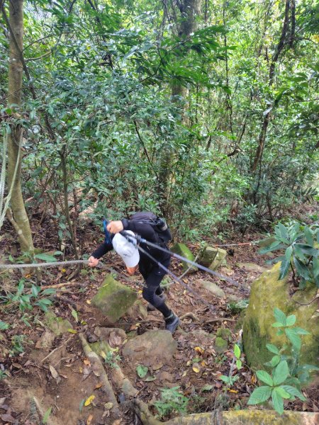 鳳鳴古道 鳳鳴山 南隘勇（南長城）古道 三湖山 八達嶺（龍骨）古道 綠色古道 延平古道2975304