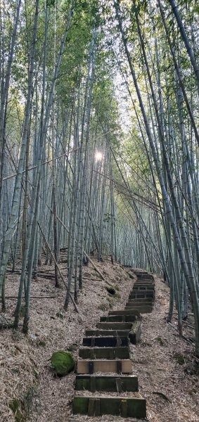 2025-01-30瑞太古道2704370