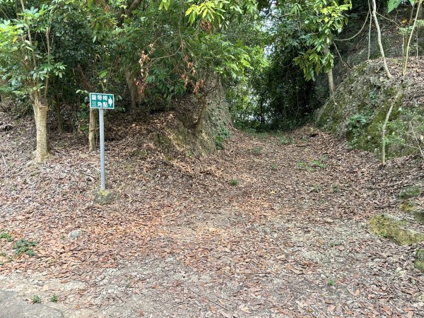 小崗山健行步道2909437