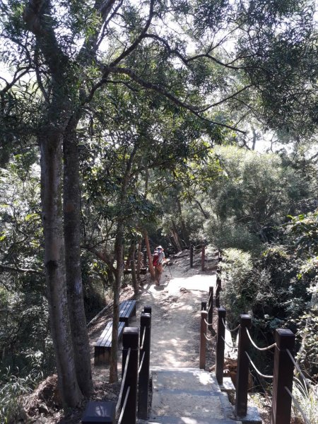 台中大坑步道7上6下20181027444585