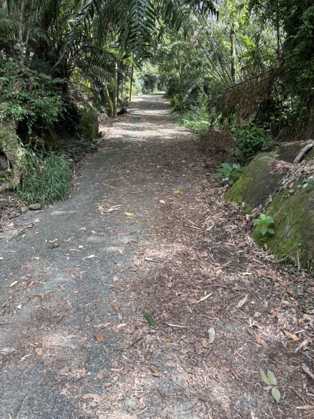 20251018台南 崁馬鞍部啟登崁頭山2920723