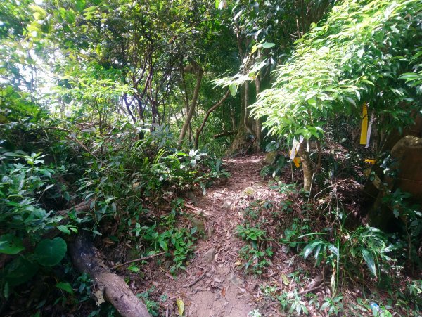 暗影山 小百岳 三等三角點4181690848