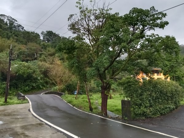 雙溪區后番子坑古道+后番子坑山+平湖東步道+大坑山+下內平林山+上內平林步道出平水2972930