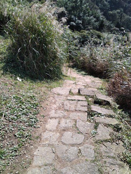【臺北大縱走第二段】小油坑至二子坪完成1263063