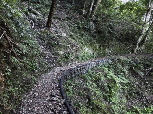 [玉山尋寶任務-07/12] 2025_0824 八通關雲龍瀑布步道2870549