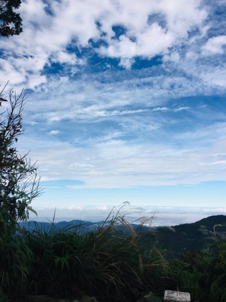 上島山（鳥嘴山2650162