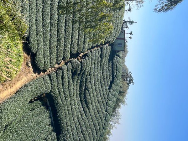 雲嘉五連峰2735889