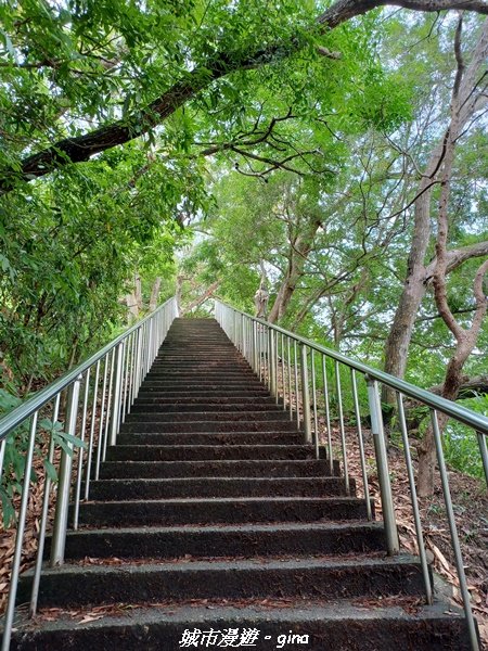 【台中北屯】走步道洗塵心。 No42小百岳南觀音山x青春嶺2196461