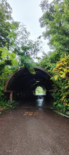 台東．森林公園202508013019154