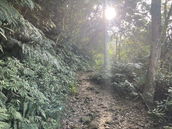 石門山登山步道2396652