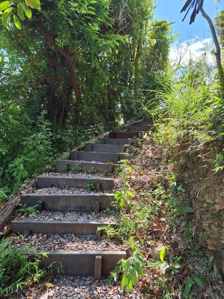 南澳朝陽步道小O202508312876489