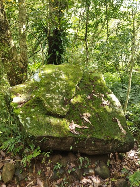 內雙溪古道訪牛家莊、古厝1668196