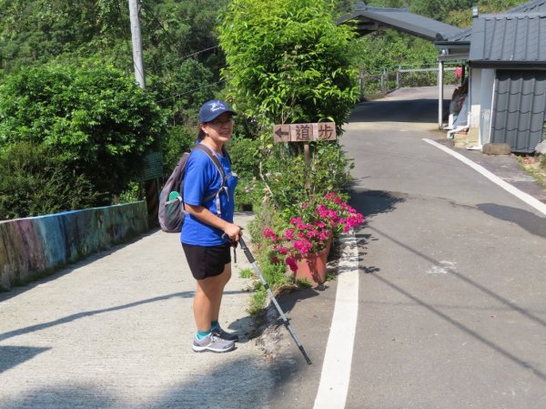澀水森林步道(+水上瀑布)2915716