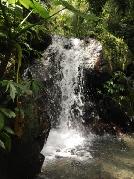 抹茶山&三角崙山566972