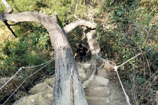 觀音山｜大社觀音山小百岳3002729