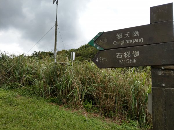 風櫃口步道1453872