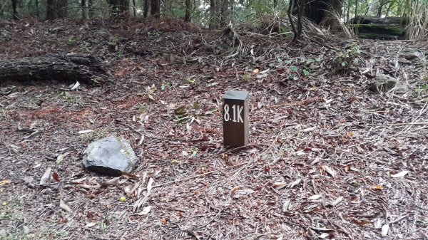 20181101~03 大霸群峰452933