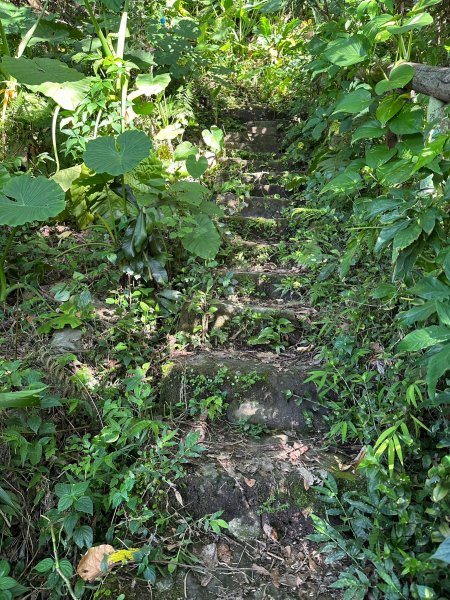 圓山水神社上劍潭山2263357