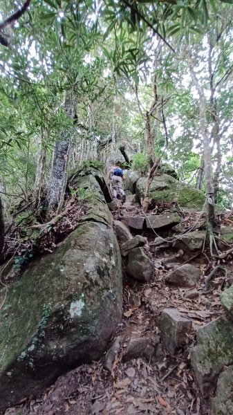 【苗栗南庄】向天湖山光天高山小O繞2933169