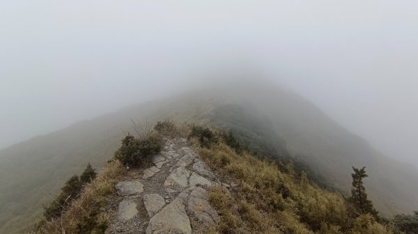 合歡南峰/主峰（霧茫茫一片）1646929