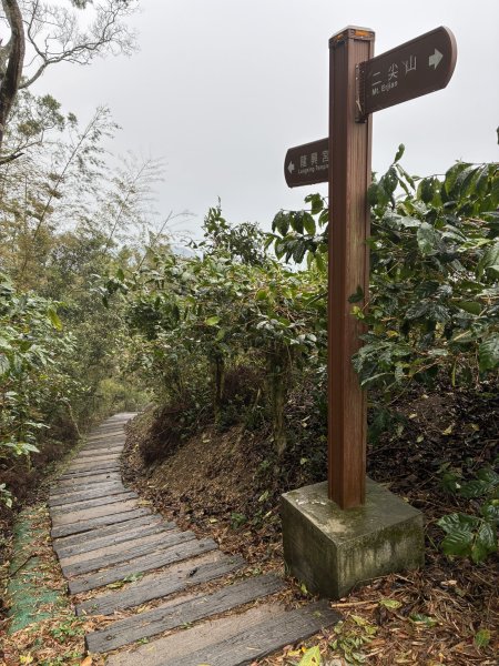 20260406[公車]雲嘉連峰-二尖山+馬鞍山+梨子腳山+太平山+太平山西峰3031083