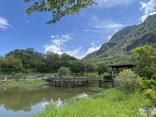 [漫遊縱谷 愛在花東-05/10] 2024_0811 羅山村竹林步道2572909