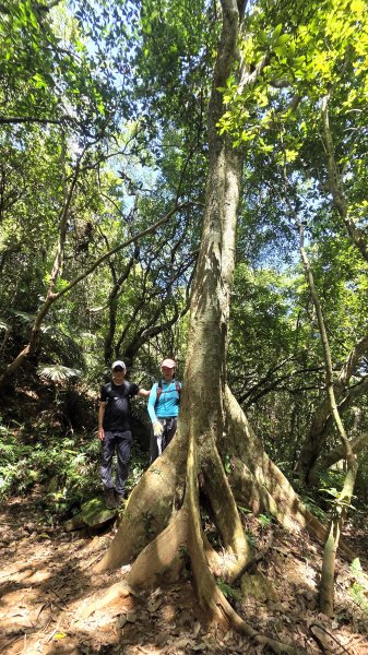 新北近郊小而美的賞景好路線野柳駱駝峰玉田古道O型2897885