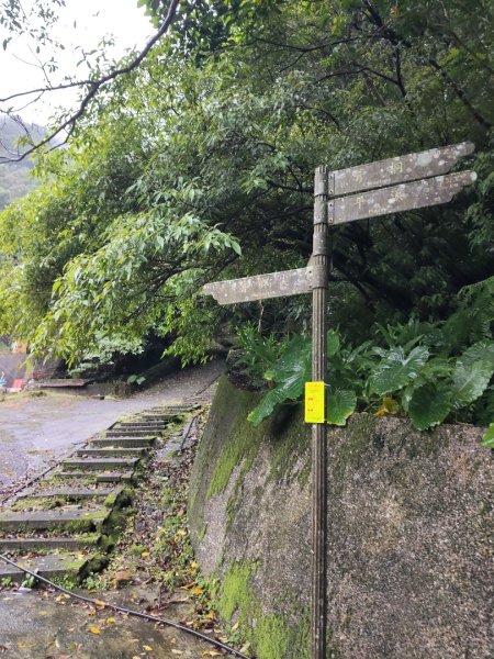 微笑山線：【五分山系】菁桐煤礦段2954724