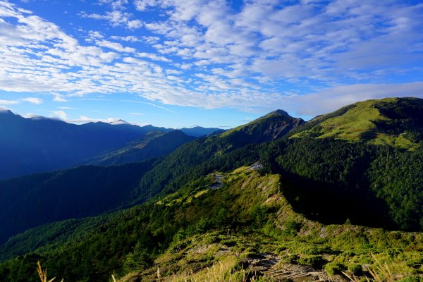 鳥山。不鳥 ~ 合歡西峰439622