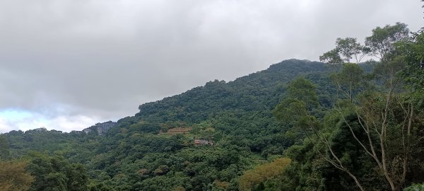 20241020_大山背麒麟步道+毬子山2630830